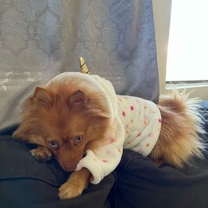 i accept trades/offers 💖